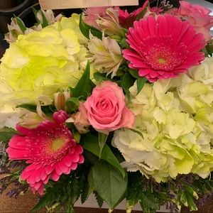 Meet your Posher, Deniss